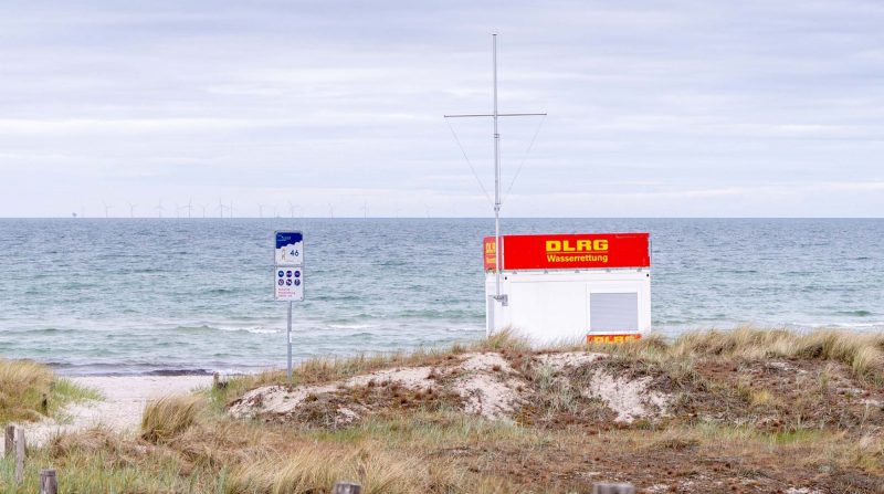 DLRG Württemberg: Mitgliedschaft unvereinbar mit Personen, die aktiv die AfD unterstützen