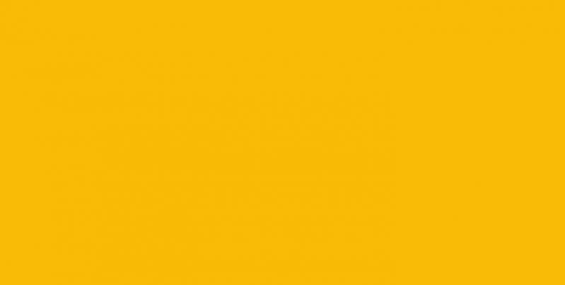 Zitat: Sanem Kleff: Schule ohne Rassismus – Schule mit Courage